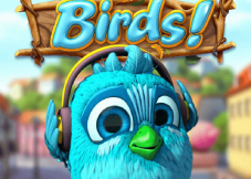 Birds!
