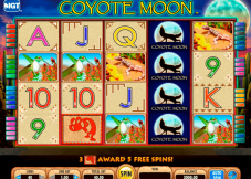 Coyote Moon