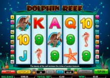 Dolphin Reef