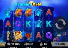 Dolphins Gold