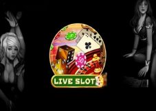 Live Slot