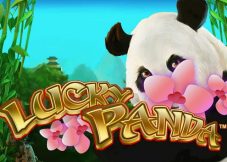 Lucky Panda