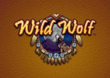 Wild Wolf