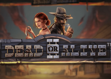 Dead or Alive 2