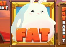 Fat Rabbit