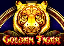 Golden Tiger