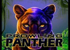 Prowling Panther