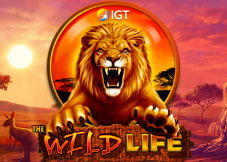 Igt free online slot machines