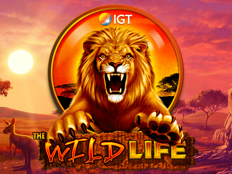 The Wild Life Slot