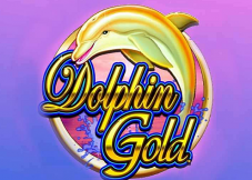 Dolphin Gold