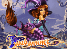 Wild Witches