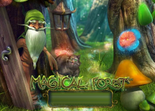 Magical Forest