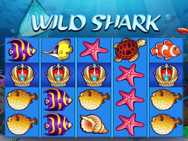 Wild Shark Slot