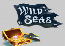 Wild Seas