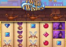 Wild Wishes
