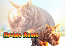 Raging Rhino