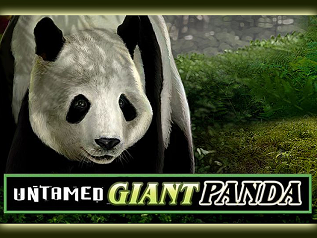 Microgamings Untamed Wild Panda No Download Slots