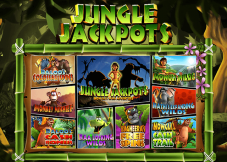 Jungle Jackpots